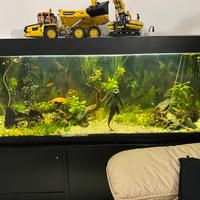 Acquario WAVE 400lt circa