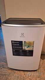 condizionatore pinguino Electrolux 