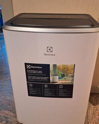 condizionatore pinguino Electrolux 