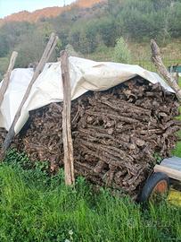 Legna di vite da ardere