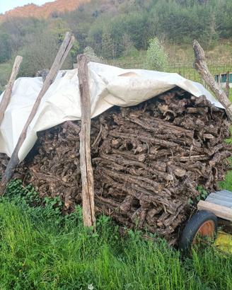 Legna di vite da ardere