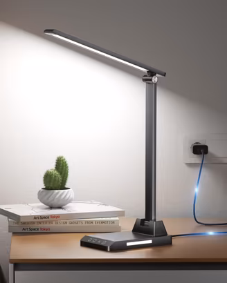 Lampada da Scrivania,Lampada da Tavolo, USB Lampad