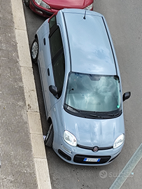 FIAT PANDA 1.2 Easy Benzina Nuova - 2019