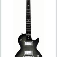 chitarra elettrica Zemaitis 