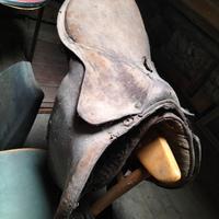selle e altro per cavalli o asini