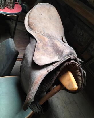 selle e altro per cavalli o asini