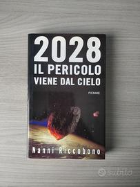 2028 Il pericolo viene dal cielo
