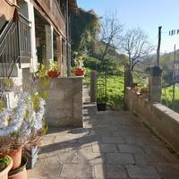 PANORAMICA CASA PLURICAMERE: natura, versatilit...