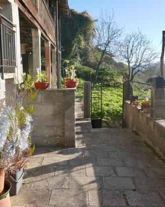 PANORAMICA CASA PLURICAMERE: natura, versatilit...