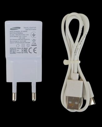 SAMSUNG FAST CHARGE CARICABATTERIA 