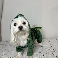 vestito da drago per cani o gatti