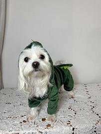 vestito da drago per cani o gatti