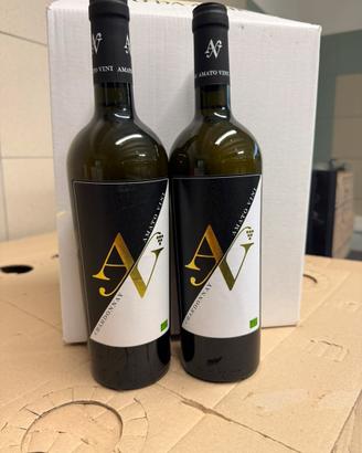 6 Bottiglie di Chardonnay BIO