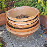 Ciotole in terracotta