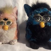 Coppia di Furby originali