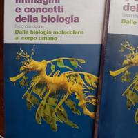 Mader, Immagini e concetti della biologia 
