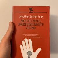 J. S. Foer, Molto forte, incredibilmente vicino