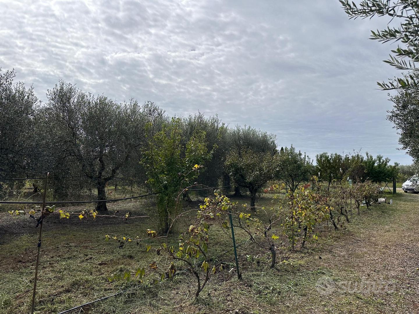 Vendita terreno - Vista 3