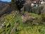 Immagine 28