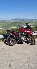 Benelli TRK 502 - 2019