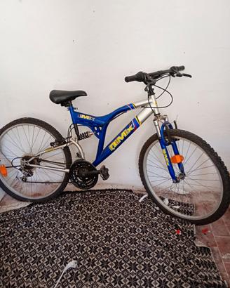 Bicicletta