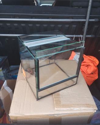 Terrario 20x20x19