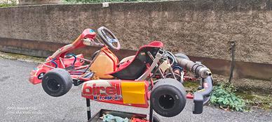 go kart birel 100