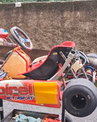 go kart birel 100
