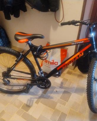 bici Hogan