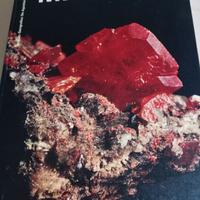 libro Minerali 