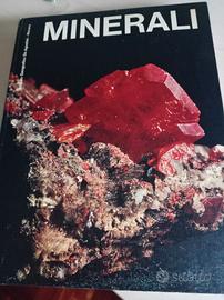 libro Minerali 