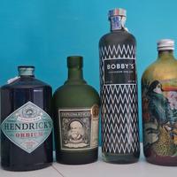 lotto bottiglie gin