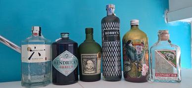 lotto bottiglie gin