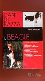 Libro IL BEAGLE di Ernesto e Giovanna Capra