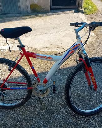 bici mountain bike