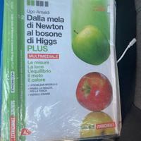 Dalla mela di Newton al bosone di Higgs Fisica