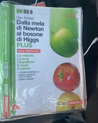 Dalla mela di Newton al bosone di Higgs Fisica