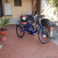bicicletta tre ruote elettrica 