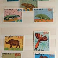 “Lotto tematico Dinosauri – Polonia anni ’60