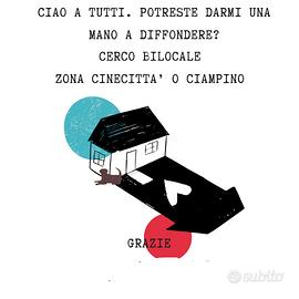 Bilocale arredato ciampino