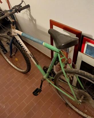 Montainbike Shimano