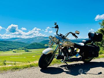 Carrozzeria Harley Davidson Softail 1340
