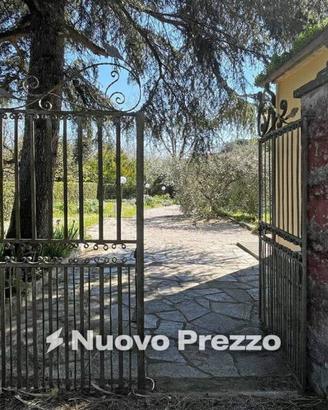 Villa di 599 m² con più di 5 locali a Crespina e L