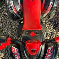 Mini Quad elettrico per bambini 4-6 anni