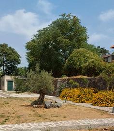 Villa indipendente Ischia Casamicciola Terme