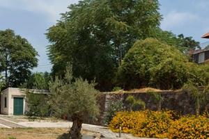 Villa indipendente Ischia Casamicciola Terme