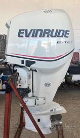 Evinrude E-Tec 250 Hp