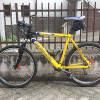 Mountain Bike Bottecchia uomo