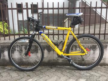 Mountain Bike Bottecchia uomo