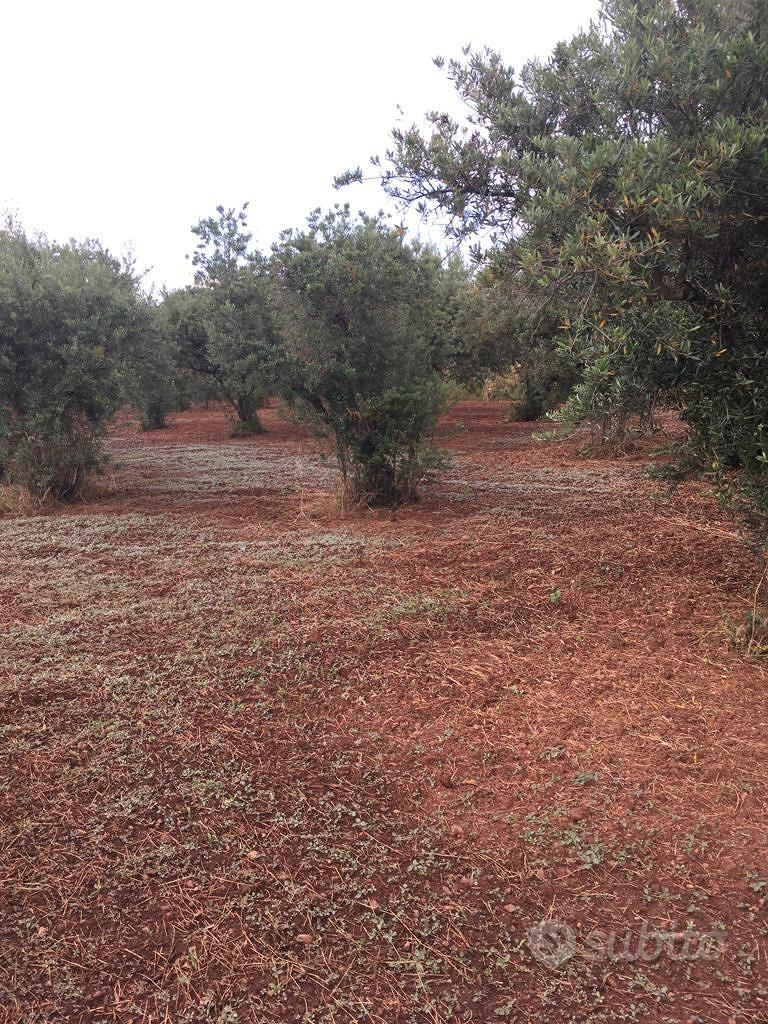 Casetta in campagna - Vista 3